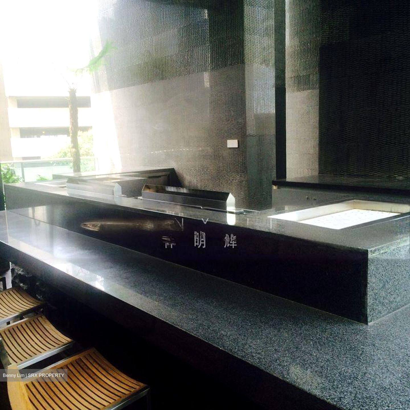 Lincoln Suites (D11), Condominium #502231781